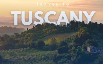 Experience the World Through Adelman Discoveries